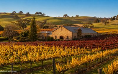 Barossa Valley Wine Tours from Adelaide – The Complete Guide