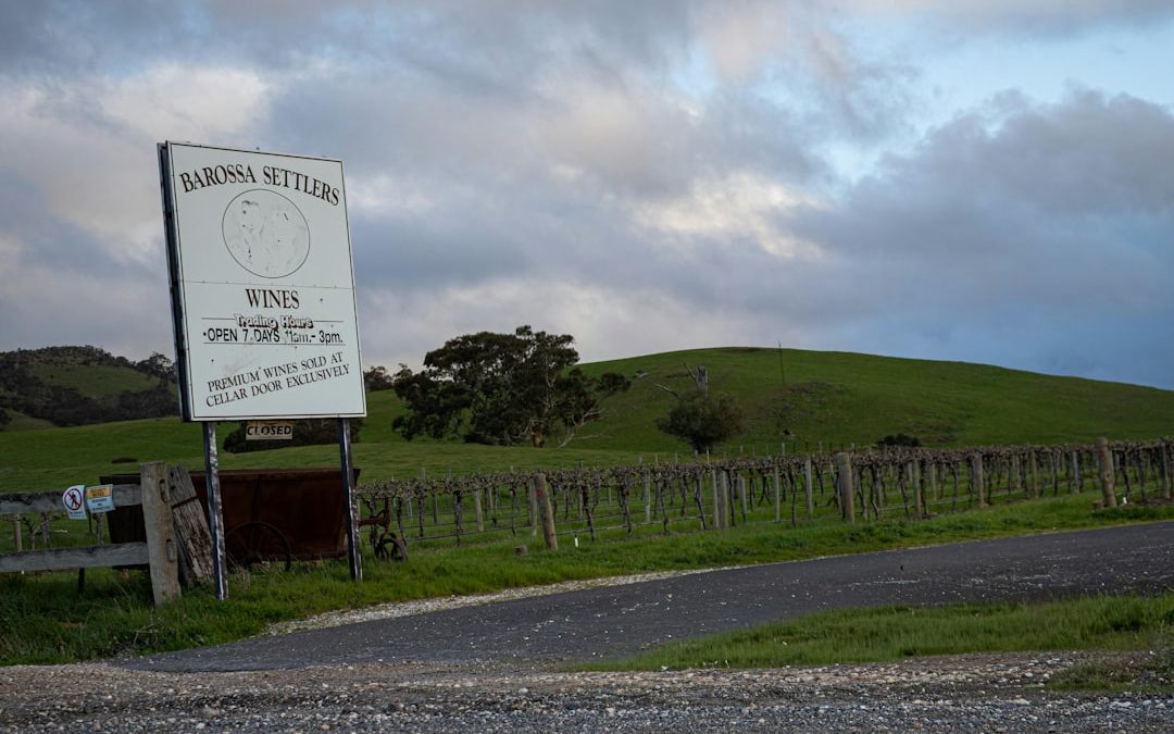 Barossa Valley cellar door surrounded by vineyards