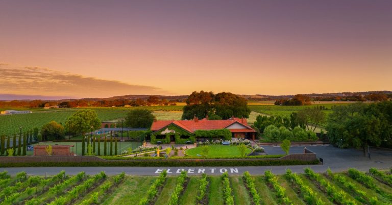 Elderton Wines featured image Elderton Wines featured image
