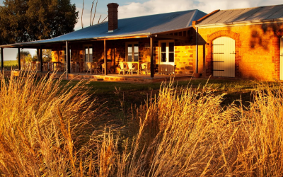 Barossa Valley in One Day – The Perfect Itinerary