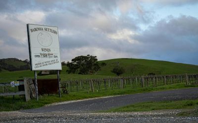 When to Visit the Barossa Valley: A Month by Month Guide