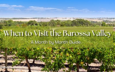 When to Visit the Barossa Valley: A Month by Month Guide