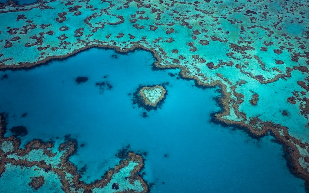 Best Islands To Visit Along The Great Barrier Reef