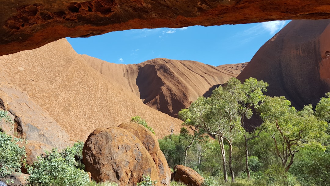 Rock gorge in Uluru Kata Tjuta National Park Rock gorge and desert trees in Uluru Kata Tjuta National Park